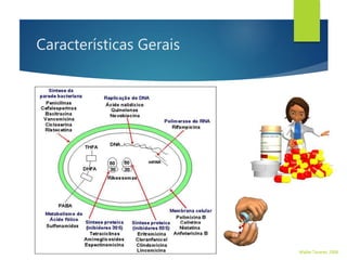 Características Gerais
Desenvolvimento de resistência
com certa facilidade.
Lipossolúvel, atingindo boa
concentração nas células.
Provoca imunodepressão.
Inibe a RNA-polimerase
dependende de DNA
Não influencia na síntese de
RNA das células humanas
Walter Tavares, 2006.
 