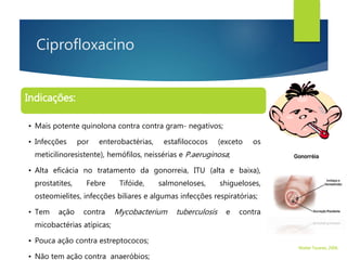 Ciprofloxacino
Indicações:
• Mais potente quinolona contra contra gram- negativos;
• Infecções por enterobactérias, estafilococos (exceto os
meticilinoresistente), hemófilos, neissérias e P.aeruginosa;
• Alta eficácia no tratamento da gonorreia, ITU (alta e baixa),
prostatites, Febre Tifóide, salmoneloses, shigueloses,
osteomielites, infecções biliares e algumas infecções respiratórias;
• Tem ação contra Mycobacterium tuberculosis e contra
micobactérias atípicas;
• Pouca ação contra estreptococos;
• Não tem ação contra anaeróbios;
Walter Tavares, 2006.
 
