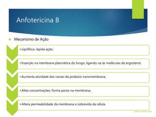 Anfotericina B
 Mecanismo de Ação
• Lipofílica; rápida ação;
• Inserção na membrana plasmática do fungo, ligando-se às moléculas de ergosterol;
• Aumenta atividade dos canais de potássio transmembrana;
• Altas concentrações: forma poros na membrana;
• Altera permeabilidade da membrana e sobrevida da célula.
Walter Tavares, 2006.
 