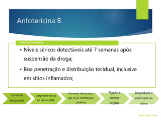 Anfotericina B
• Níveis séricos detectáveis até 7 semanas após
suspensão da droga;
• Boa penetração e distribuição tecidual, inclusive
em sítios inflamados;
Aspectos Farmacológicos
Corrente
sanguínea
Desprende-se do
sal deoxicolato
Carreada até tecidos;
liga-se às membranas
celulares
Fígado e
outros
órgãos
Degradada e
eliminada na
urina
Walter Tavares, 2006.
 