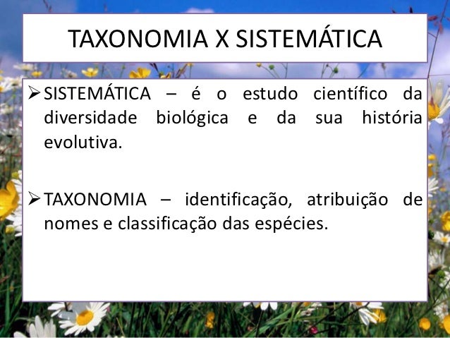 Seminário introdução à sistemática