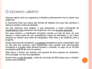 O ESCRAVO LIBERTO
Vejamos agora como se organizava o trabalho juridicamente livre no interior dos
engenhos.
É importante frisar que traços das formas de trabalho livre que irão substituir a
cativa já existiam antes da abolição.
Um dos sistemas mais antigos, e que abarcavam o maior contingente de
trabalhadores livres presentes nos engenhos, era o de morador-agregado.
Por esse sistema, o trabalhador (morador) recebia um lote de terra, do qual
retirava a maior parte de sua subsistência (roças de alimentos) e, em troca,
prestava ao senhor uma série de obrigações, entre elas a de trabalhar para o
engenho.
Existia dois tipos de moradores, o condiceiro (trabalhava para o proprietário dois
ou três dias por semana; caso trabalhasse mais recebia uma remuneração
monetária) e o foreiro (este deveria fornecer o cambão, ou seja, 20 ou 30 dias
de trabalho gratuito por ano ao senhor).
Além disso, o foreiro, por receber uma parcela de terra superior ao condiceiro,
tinha de pagar um foro ao proprietário.
Ainda havia o corte da tarefa, o trato de uma área de 625 braças que o morador
recebia para trabalhar.
 