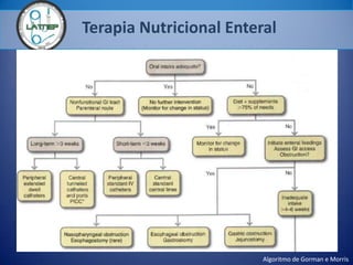Terapia Nutricional Enteral
Algoritmo de Gorman e Morris
 