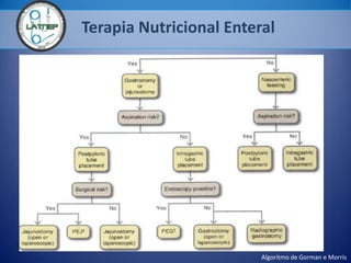 Terapia Nutricional Enteral
Algoritmo de Gorman e Morris
 