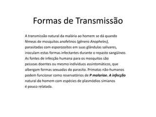 Formas de Transmissão
A transmissão natural da malária ao homem se dá quando
fêmeas de mosquitos anofelinos (gênero Anopheles),
parasitadas com esporozoítos em suas glândulas salivares,
inoculam estas formas infectantes durante o repasto sangüíneo.
As fontes de infecção humana para os mosquitos são
pessoas doentes ou mesmo indivíduos assintomáticos, que
albergam formas sexuadas do parasito. Primatas não-humanos
podem funcionar como reservatórios de P malariae. A infecção
natural do homem com espécies de plasmódios simianos
é pouco relatada.
 