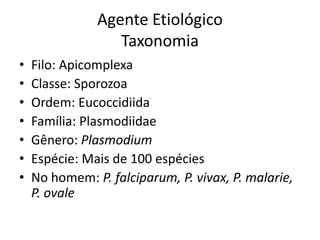 Agente Etiológico
                  Taxonomia
•   Filo: Apicomplexa
•   Classe: Sporozoa
•   Ordem: Eucoccidiida
•   Família: Plasmodiidae
•   Gênero: Plasmodium
•   Espécie: Mais de 100 espécies
•   No homem: P. falciparum, P. vivax, P. malarie,
    P. ovale
 