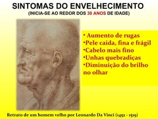 Retrato de um homem velho por Leonardo Da Vinci  (1452 - 1519 ) SINTOMAS DO ENVELHECIMENTO  (INICIA-SE AO REDOR DOS  30 ANOS  DE IDADE) Aumento de rugas Pele caida, fina e frágil Cabelo mais fino Unhas quebradiças Diminuição do brilho no olhar 