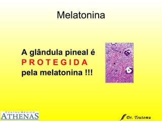 Melatonina A glândula pineal é  P R O T E G I D A   pela melatonina !!! Dr. Tsutomu Higashi  