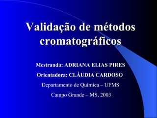 Validação de métodos cromatográficos Mestranda: ADRIANA ELIAS PIRES Orientadora: CLÁUDIA CARDOSO   Departamento de Química – UFMS Campo Grande – MS, 2003 