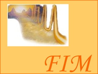 FIM 