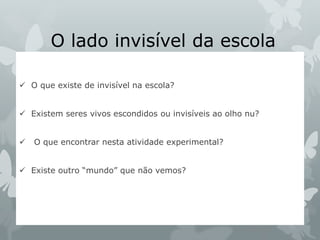 O lado invisível da escola
 O que existe de invisível na escola?
 Existem seres vivos escondidos ou invisíveis ao olho nu?
 O que encontrar nesta atividade experimental?
 Existe outro “mundo” que não vemos?
 