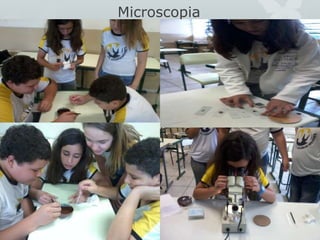 Microscopia
 