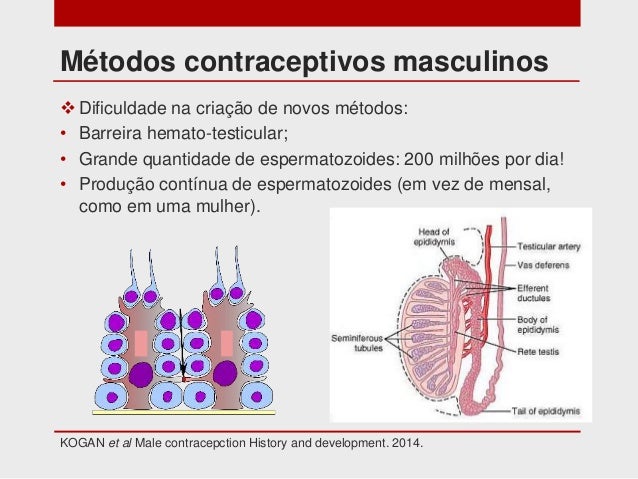 Novos métodos contraceptivos masculinos desconstruindo paradigmas e Adesivo De Parede Descolando O Que Fazer ~ Novos métodos contraceptivos masculinos desconstruindo paradigmas e