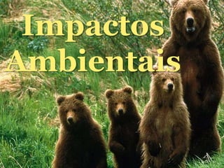 Impactos
Ambientais
 
