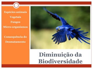 Diminuição da
Biodiversidade
Espécies animais
Vegetais
Fungos
Micro-organismos
Consequência do
Desmatamento
 