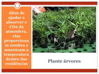Plante árvores
Além de
ajudar a
absorver o
CO2 da
atmosfera,
elas
proporciona
m sombra e
amenizam a
temperatura
dentro das
residências
 
