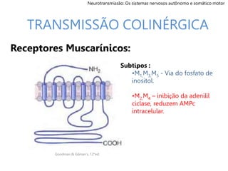 Receptores Muscarínicos:
TRANSMISSÃO COLINÉRGICA
Neurotransmissão: Os sistemas nervosos autônomo e somático motor
Goodman & Gilman’s, 12°ed.
Subtipos :
•M1,M3,M5 - Via do fosfato de
inositol.
•M2,M4 – inibição da adenilil
ciclase, reduzem AMPc
intracelular.
 