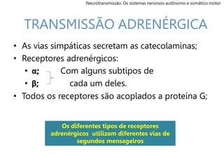 • As vias simpáticas secretam as catecolaminas;
• Receptores adrenérgicos:
• α; Com alguns subtipos de
• β; cada um deles.
• Todos os receptores são acoplados a proteína G;
TRANSMISSÃO ADRENÉRGICA
Os diferentes tipos de receptores
adrenérgicos utilizam diferentes vias de
segundos mensageiros
Neurotransmissão: Os sistemas nervosos autônomo e somático motor
 