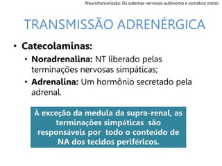 • Catecolaminas:
• Noradrenalina: NT liberado pelas
terminações nervosas simpáticas;
• Adrenalina: Um hormônio secretado pela
adrenal.
TRANSMISSÃO ADRENÉRGICA
À exceção da medula da supra-renal, as
terminações simpáticas são
responsáveis por todo o conteúdo de
NA dos tecidos periféricos.
Neurotransmissão: Os sistemas nervosos autônomo e somático motor
 