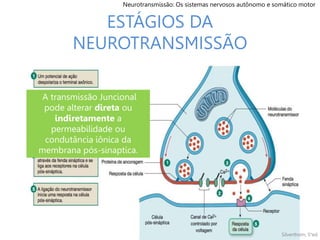 ESTÁGIOS DA
NEUROTRANSMISSÃO
Transmissão juncional:
• Síntese do NT;
• Armazenamento do NT;
• Liberação do NT;
• NT-Receptor e potencial de ação pós juncional;
• Início a atividade pós sináptica;
• Eliminação do NT.
Silverthorn, 5°ed.
A transmissão Juncional
pode alterar direta ou
indiretamente a
permeabilidade ou
condutância iônica da
membrana pós-sinaptica.
Neurotransmissão: Os sistemas nervosos autônomo e somático motor
 