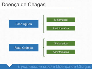 Doença de Chagas
Trypanosoma cruzi e Doença de Chagas
Fase Aguda
Fase Crônica
Sintomática
Assintomática
Sintomática
Assintomática
 