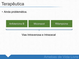 • Ainda problemática.
Terapêutica
Amebas de Vida Livre
Anfotericina B Miconazol Rifampicina
Vias Intravenosa e Intracecal
 