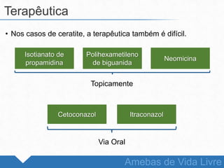 • Nos casos de ceratite, a terapêutica também é difícil.
Terapêutica
Amebas de Vida Livre
Isotianato de
propamidina
Polihexametileno
de biguanida
Neomicina
Topicamente
Cetoconazol Itraconazol
Via Oral
 