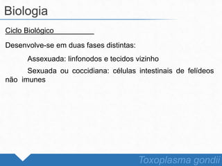 Ciclo Biológico
Desenvolve-se em duas fases distintas:
Assexuada: linfonodos e tecidos vizinho
Sexuada ou coccidiana: células intestinais de felídeos
não imunes
Biologia
Toxoplasma gondii
 