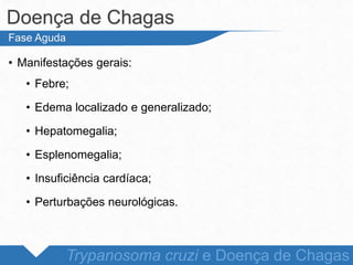 • Manifestações gerais:
• Febre;
• Edema localizado e generalizado;
• Hepatomegalia;
• Esplenomegalia;
• Insuficiência cardíaca;
• Perturbações neurológicas.
Doença de Chagas
Trypanosoma cruzi e Doença de Chagas
Fase Aguda
 