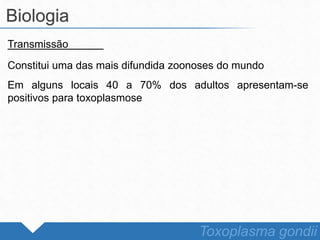 Transmissão
Constitui uma das mais difundida zoonoses do mundo
Em alguns locais 40 a 70% dos adultos apresentam-se
positivos para toxoplasmose
Biologia
Toxoplasma gondii
 