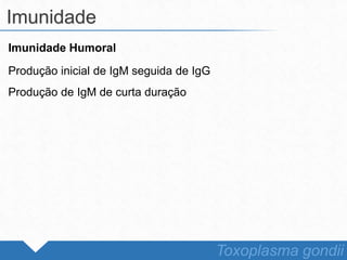Imunidade Humoral
Produção inicial de IgM seguida de IgG
Produção de IgM de curta duração
Imunidade
Toxoplasma gondii
 