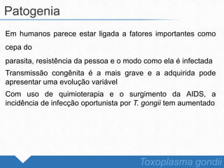Em humanos parece estar ligada a fatores importantes como
cepa do
parasita, resistência da pessoa e o modo como ela é infectada
Transmissão congênita é a mais grave e a adquirida pode
apresentar uma evolução variável
Com uso de quimioterapia e o surgimento da AIDS, a
incidência de infecção oportunista por T. gongii tem aumentado
Patogenia
Toxoplasma gondii
 
