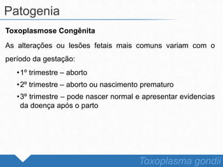 Toxoplasmose Congênita
As alterações ou lesões fetais mais comuns variam com o
período da gestação:
•1º trimestre – aborto
•2º trimestre – aborto ou nascimento prematuro
•3º trimestre – pode nascer normal e apresentar evidencias
da doença após o parto
Patogenia
Toxoplasma gondii
 