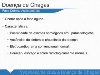 • Ocorre após a fase aguda.
• Características:
• Positividade de exames sorológicos e/ou parasitológicos;
• Ausências de sintomas e/ou sinais da doença;
• Eletrocardiograma convencional normal;
• Coração, esôfago e cólon radiologicamente normais.
Doença de Chagas
Trypanosoma cruzi e Doença de Chagas
Fase Crônica Assintomática
 