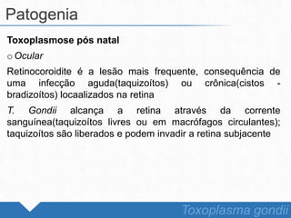 Toxoplasmose pós natal
o Ocular
Retinocoroidite é a lesão mais frequente, consequência de
uma infecção aguda(taquizoítos) ou crônica(cistos -
bradizoítos) locaalizados na retina
T. Gondii alcança a retina através da corrente
sanguínea(taquizoítos livres ou em macrófagos circulantes);
taquizoítos são liberados e podem invadir a retina subjacente
Patogenia
Toxoplasma gondii
 