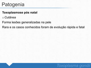 Toxoplasmose pós natal
o Cutânea
Forma lesões generalizadas na pele
Rara e os casos conhecidos foram de evolução rápida e fatal
Patogenia
Toxoplasma gondii
 