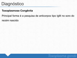 Toxoplasmose Congênita
Principal forma é a pesquisa de anticorpos tipo IgM no soro do
recém nascido
Diagnóstico
Toxoplasma gondii
 