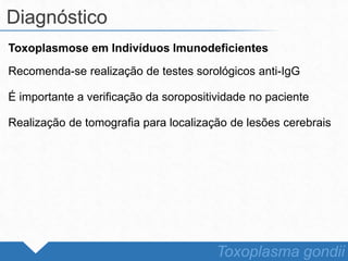 Toxoplasmose em Indivíduos Imunodeficientes
Recomenda-se realização de testes sorológicos anti-IgG
É importante a verificação da soropositividade no paciente
Realização de tomografia para localização de lesões cerebrais
Diagnóstico
Toxoplasma gondii
 