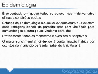 É encontrada em quase todos os países, nos mais variados
climas e condições sociais
Estudos de epidemiologia molecular evidenciaram que existem
duas linhagens clonais do parasita: uma com virulência para
camundongos e outra pouco virulenta para eles
Praticamente todos os mamíferos e aves são susceptíveis
O maior surto mundial foi devido à contaminação hídrica por
oocistos no município de Santa Isabel do Ivaí, Paraná.
Epidemiologia
Toxoplasma gondii
 