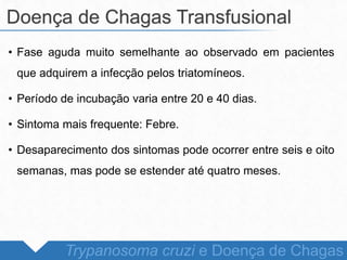 • Fase aguda muito semelhante ao observado em pacientes
que adquirem a infecção pelos triatomíneos.
• Período de incubação varia entre 20 e 40 dias.
• Sintoma mais frequente: Febre.
• Desaparecimento dos sintomas pode ocorrer entre seis e oito
semanas, mas pode se estender até quatro meses.
Doença de Chagas Transfusional
Trypanosoma cruzi e Doença de Chagas
 