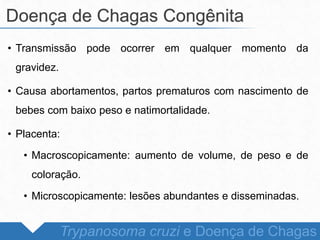 • Transmissão pode ocorrer em qualquer momento da
gravidez.
• Causa abortamentos, partos prematuros com nascimento de
bebes com baixo peso e natimortalidade.
• Placenta:
• Macroscopicamente: aumento de volume, de peso e de
coloração.
• Microscopicamente: lesões abundantes e disseminadas.
Doença de Chagas Congênita
Trypanosoma cruzi e Doença de Chagas
 