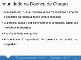• A infecção por T. cruzi mobiliza vários mecanismos humorais
e celulares da resposta imune inata e adquirida.
• O parasita passa a ser continuamente combatido, tendo sua
multiplicação reduzida.
• Imunidade Inata e Adquirida.
• A imunidade é dependente da presença do parasito no
hospedeiro.
Imunidade na Doença de Chagas
Trypanosoma cruzi e Doença de Chagas
 