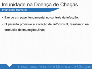 Imunidade na Doença de Chagas
Trypanosoma cruzi e Doença de Chagas
Imunidade Humoral
• Exerce um papel fundamental no controle da infecção.
• O parasito promove a ativação de linfócitos B, resultando na
produção de imunoglobulinas.
 