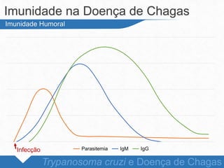 Parasitemia IgM IgG
Imunidade na Doença de Chagas
Trypanosoma cruzi e Doença de Chagas
Imunidade Humoral
Infecção
 