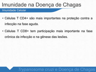 • Células T CD4+ são mais importantes na proteção contra a
infecção na fase aguda.
• Células T CD8+ tem participação mais importante na fase
crônica da infecção e na gênese das lesões.
Imunidade na Doença de Chagas
Trypanosoma cruzi e Doença de Chagas
Imunidade Celular
 