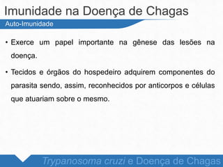 • Exerce um papel importante na gênese das lesões na
doença.
• Tecidos e órgãos do hospedeiro adquirem componentes do
parasita sendo, assim, reconhecidos por anticorpos e células
que atuariam sobre o mesmo.
Imunidade na Doença de Chagas
Trypanosoma cruzi e Doença de Chagas
Auto-Imunidade
 