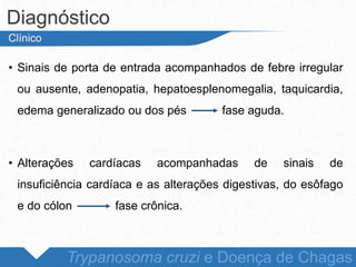 • Sinais de porta de entrada acompanhados de febre irregular
ou ausente, adenopatia, hepatoesplenomegalia, taquicardia,
edema generalizado ou dos pés fase aguda.
• Alterações cardíacas acompanhadas de sinais de
insuficiência cardíaca e as alterações digestivas, do esôfago
e do cólon fase crônica.
Diagnóstico
Trypanosoma cruzi e Doença de Chagas
Clínico
 