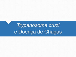 Trypanosoma cruzi
e Doença de Chagas
 