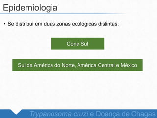 • Se distribui em duas zonas ecológicas distintas:
Epidemiologia
Trypanosoma cruzi e Doença de Chagas
Cone Sul
Sul da América do Norte, América Central e México
 
