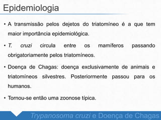 • A transmissão pelos dejetos do triatomíneo é a que tem
maior importância epidemiológica.
• T. cruzi circula entre os mamíferos passando
obrigatoriamente pelos triatomíneos.
• Doença de Chagas: doença exclusivamente de animais e
triatomíneos silvestres. Posteriormente passou para os
humanos.
• Tornou-se então uma zoonose típica.
Epidemiologia
Trypanosoma cruzi e Doença de Chagas
 